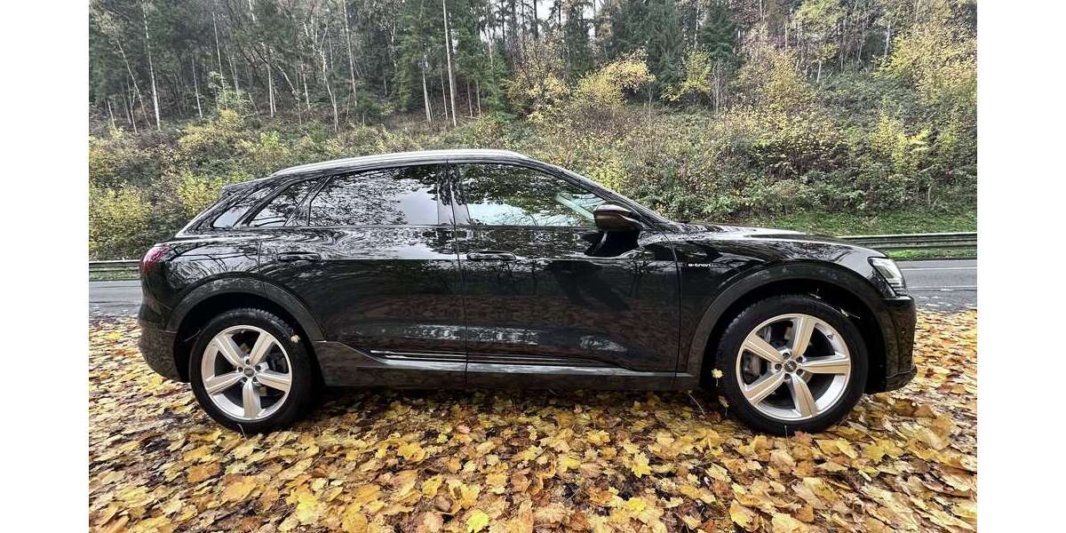 Audi e-tron 39.900 km 29.999 &euro; Fröndenberg 58730