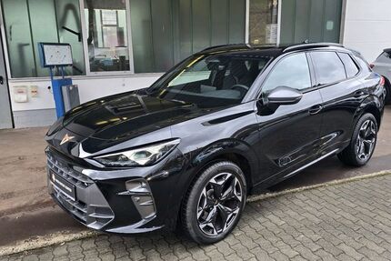 Cupra Terramar 11.186 km 40.480 &euro; Werdohl 58791