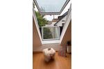 Dachgeschoßwohnung Witten Annen - 2 Zimmer, 59 m&sup2;, 679&euro; | Angebot:26626171