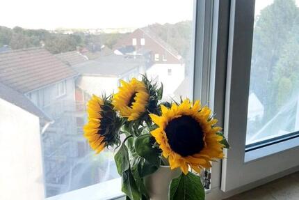 Wohnung Dortmund Hombruch - 1 Zimmer, 23 m&sup2;, 350&euro; | Angebot:25790441