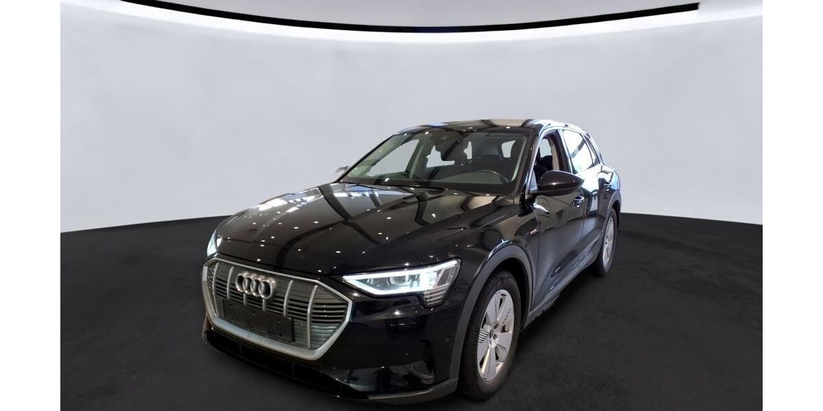 Audi e-tron 44.171 km 30.259 &euro; Hagen 58091