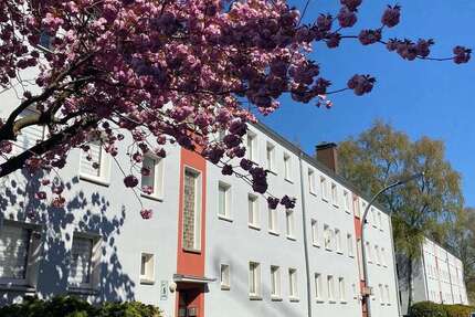 Wohnung Dortmund Hörde - 2 Zimmer, 44 m&sup2;, 450&euro; | Angebot:26803998