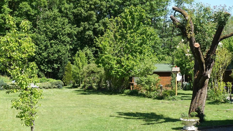 Erdgeschoßwohnung Bochum Bochum-Mitte - 2.5 Zimmer, 70 m&sup2;, 595&euro; | Angebot:25406290