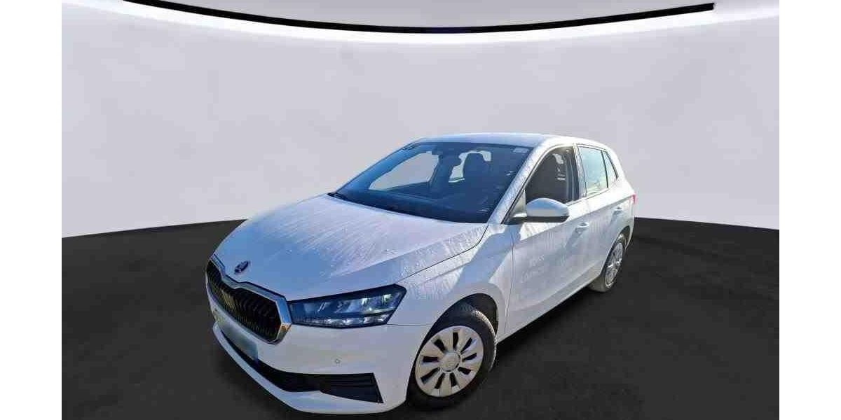 Skoda Fabia 47.368 km 11.010 &euro; Hagen 58091