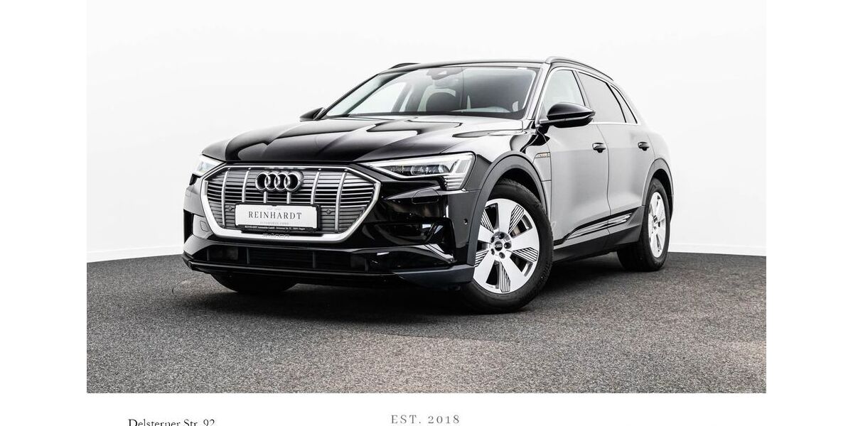 Audi e-tron 29.867 km 26.389 &euro; Hagen 58091