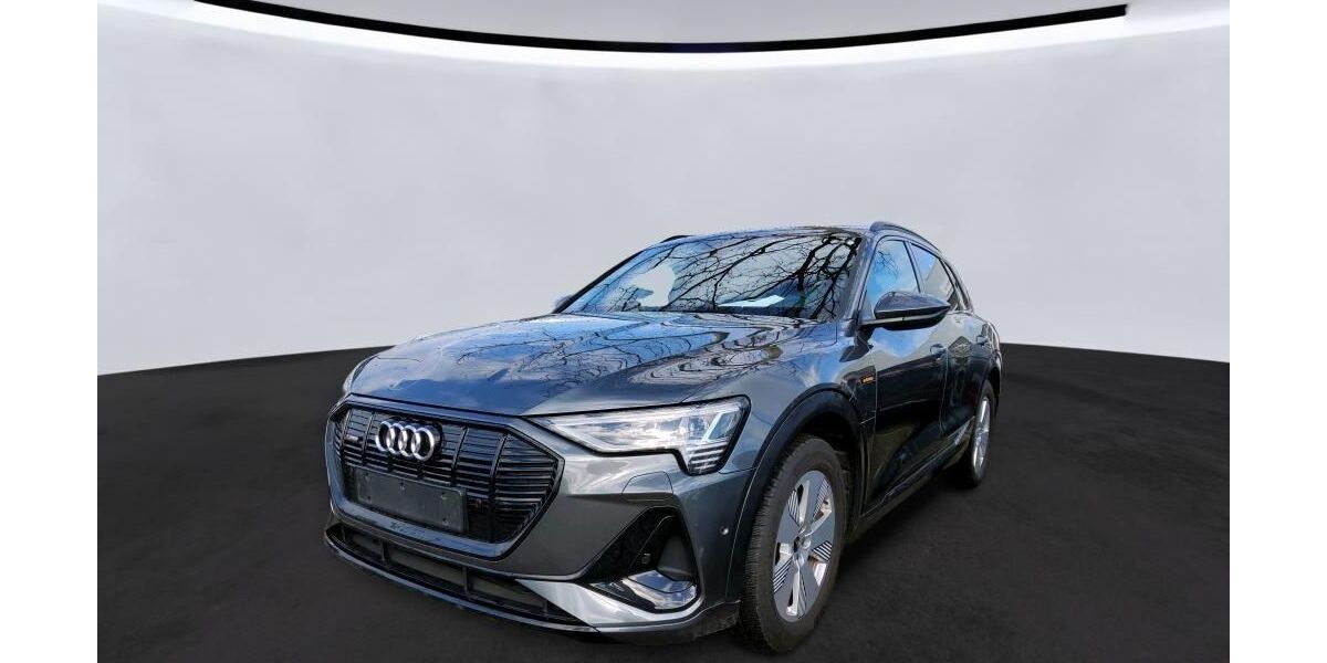 Audi e-tron 95.843 km 34.742 &euro; Hagen 58091