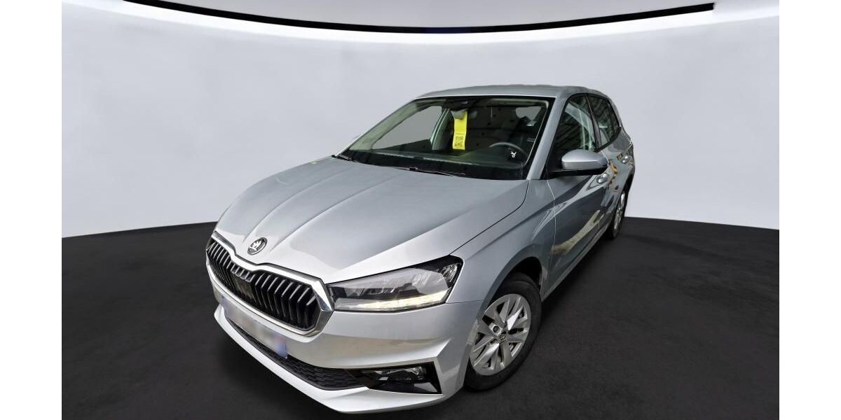 Skoda Fabia 29.142 km 13.224 &euro; Hagen 58091