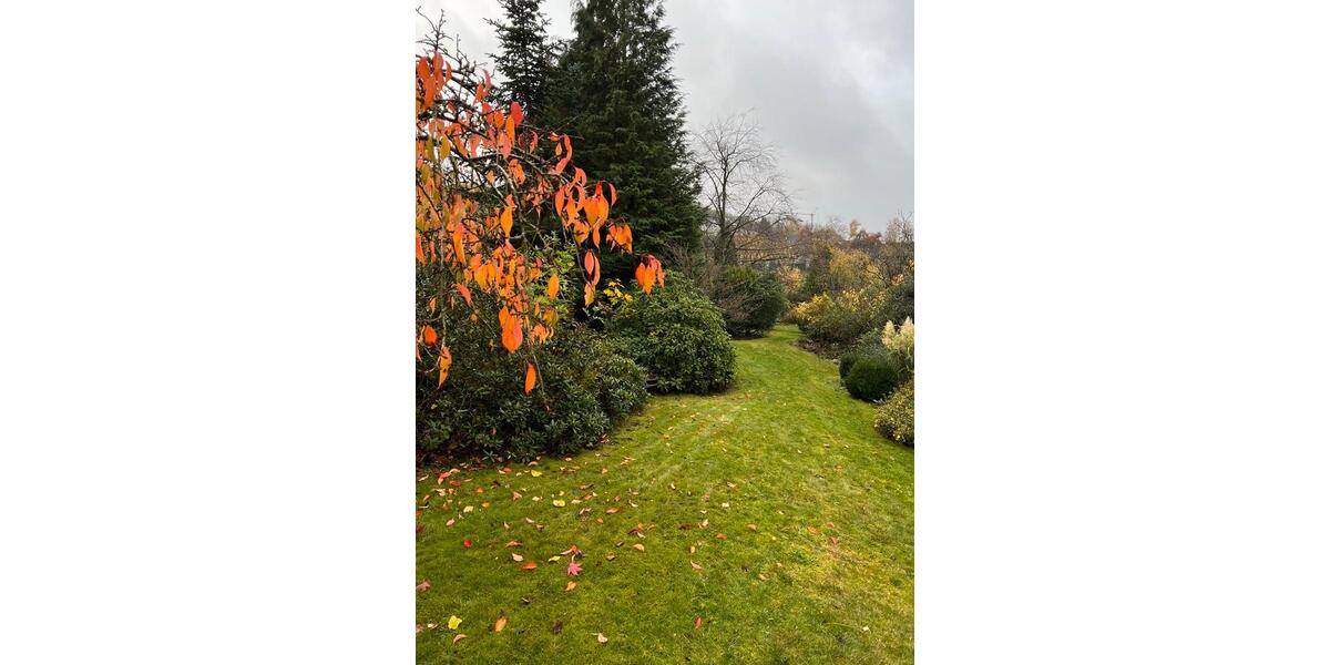 Doppelhaushälfte Lüdenscheid Staberg - 4 Zimmer, 100 m&sup2;, 279.500&euro; | Angebot:26704807