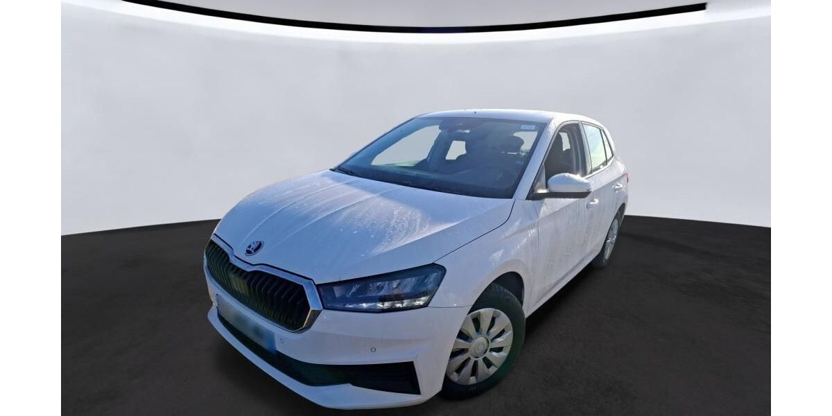 Skoda Fabia 41.820 km 11.010 &euro; Hagen 58091
