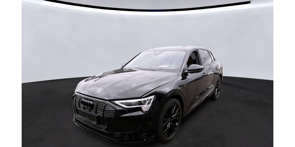 Audi e-tron 32.893 km 31.880 &euro; Hagen 58091
