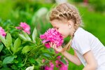 Ihr individuell geplantes Einfamilienhaus - maßgeschneidertes Wohnen auf zwei Ebenen - Einfamilienhaus Schwelm | Angebot:27698507