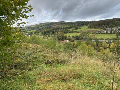 WOHNEN MIT TRAUMHAFTEN AUSBLICK - Grundstück Balve | Angebot:25842840