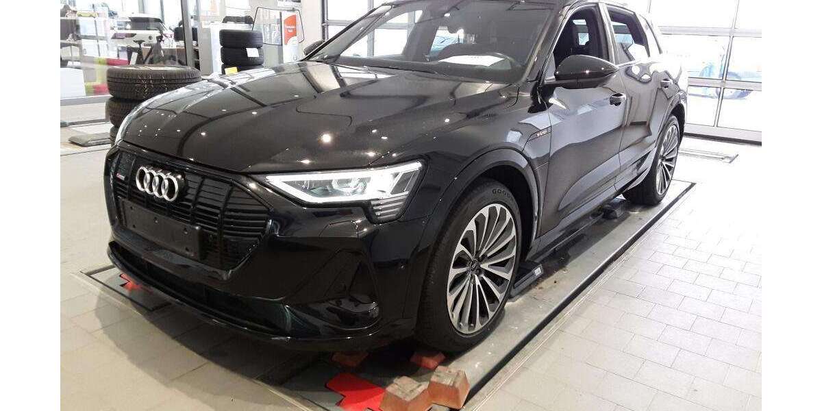 Audi e-tron 72.919 km 35.935 &euro; Hagen 58091