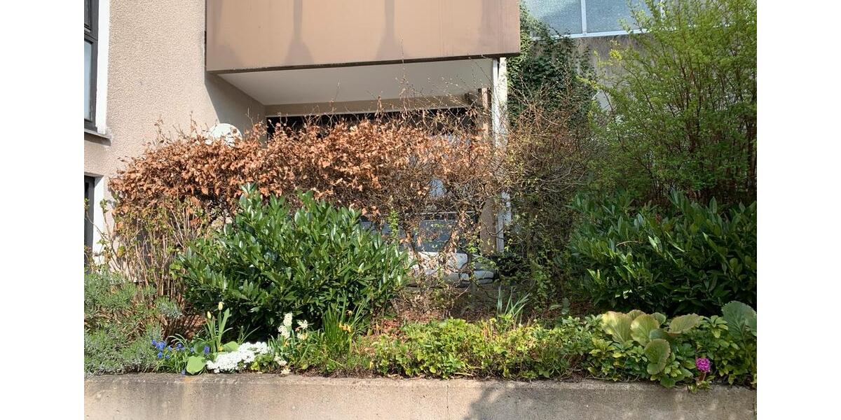 Hochparterre Werdohl - 1 Zimmer, 34 m&sup2;, 490&euro; | Angebot:27592114