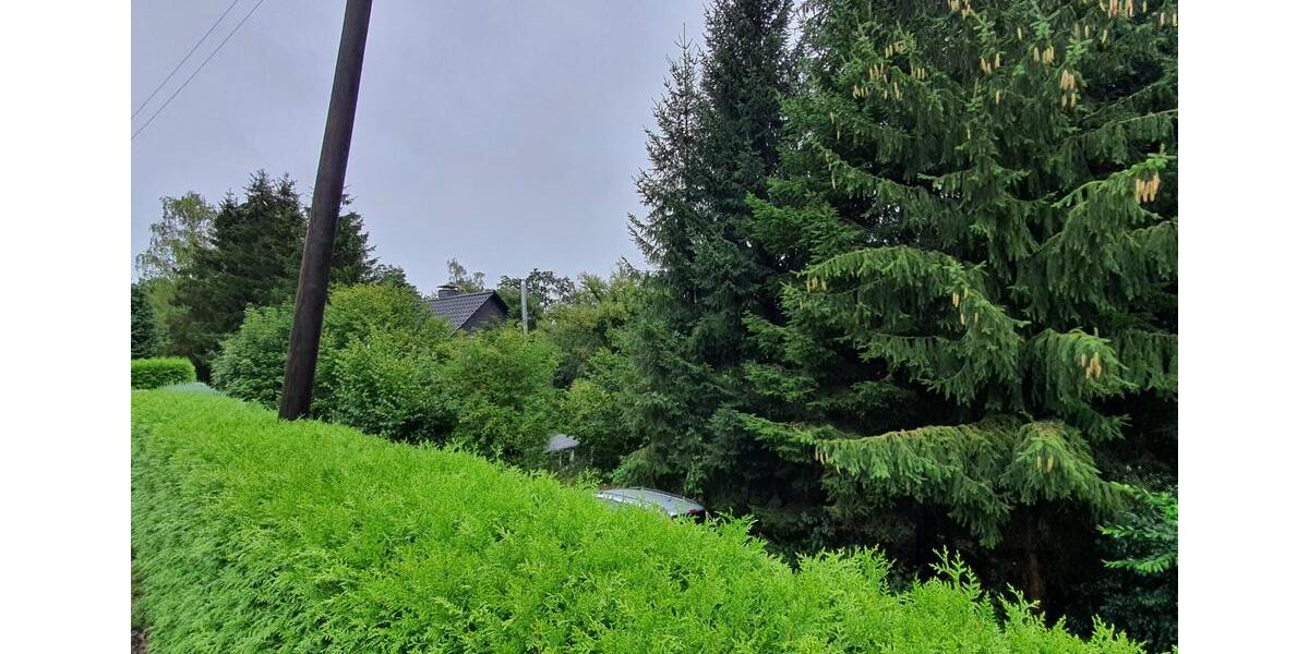 Etagenwohnung Bochum Bochum-Südwest - 2 Zimmer, 43 m&sup2;, 425&euro; | Angebot:25839854