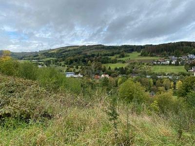 WOHNEN MIT TRAUMHAFTEN AUSBLICK - Grundstück Balve | Angebot:26816888