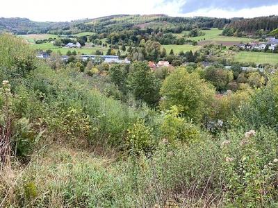 WOHNEN MIT TRAUMHAFTEN AUSBLICK - Grundstück Balve | Angebot:25842840