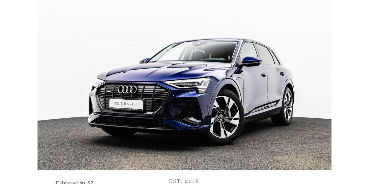 Audi e-tron 59.998 km 29.025 &euro; Hagen 58091