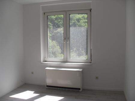 Etagenwohnung Lüdenscheid Brügge - 2 Zimmer, 55 m&sup2;, 390&euro; | Angebot:25697113