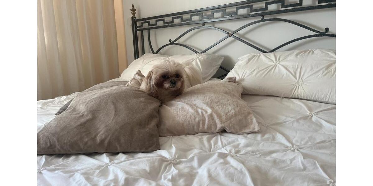 Etagenwohnung Hagen Hagen-Nord - 4.5 Zimmer, 89 m&sup2;, 279.000&euro; | Angebot:25329825