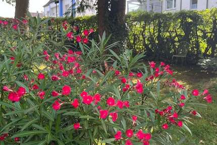 Grundstück Altena - 133.000&euro; | Angebot:25149498