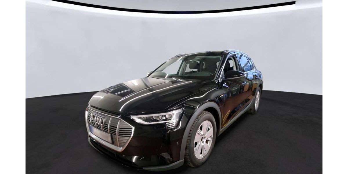 Audi e-tron 33.098 km 31.739 &euro; Hagen 58091