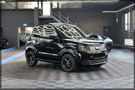 Ligier Myli 6.500 km 12.499 &euro; Hemer 58675