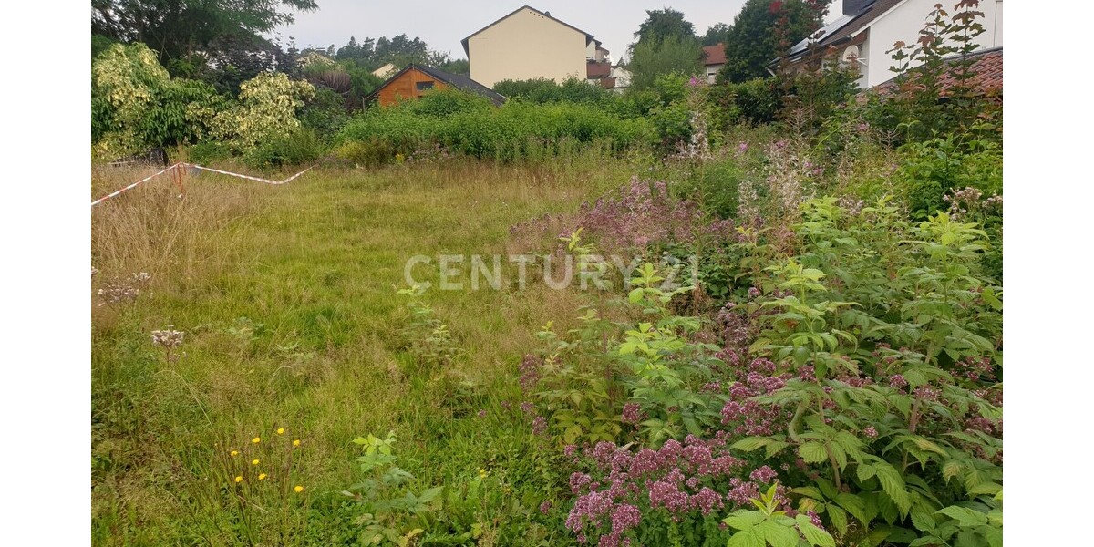 Grundstück in ruhiger Lage - Grundstück Menden Berkenhofskamp | Angebot:22484492