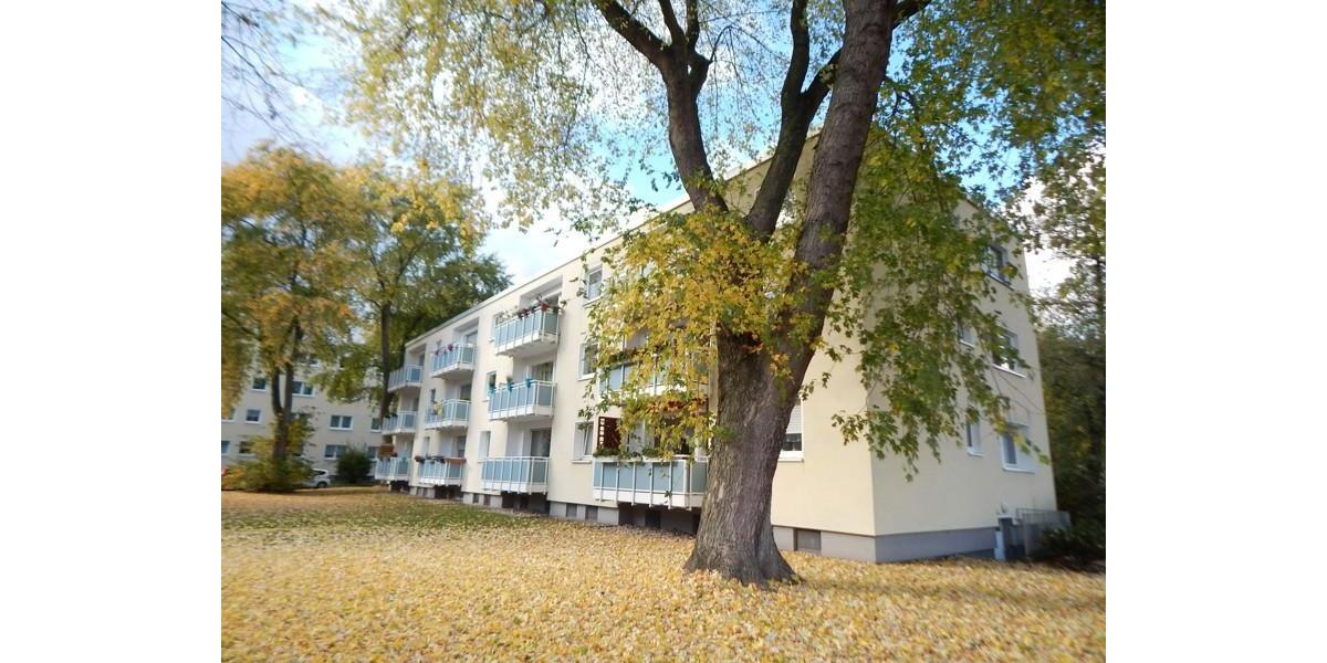Erdgeschoßwohnung Dortmund Aplerbeck - 2 Zimmer, 59 m&sup2;, 615&euro; | Angebot:24517559