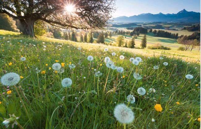 Terrassenwohnung Wickede (Ruhr) - 3 Zimmer, 65 m&sup2;, 850&euro; | Angebot:9237824