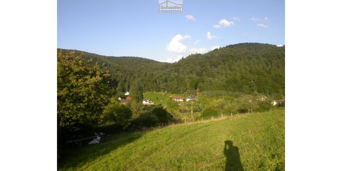 Historisches Anwesen mit Wald, Weiden und einzigartiger Aussichtslage - Mehrfamilienhaus, Wohnhaus Iserlohn Grüne | Angebot:26974787