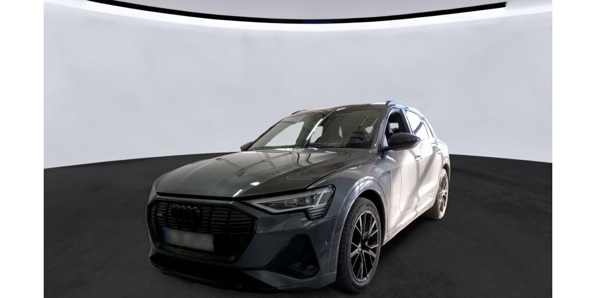Audi e-tron 74.931 km 38.005 &euro; Hagen 58091