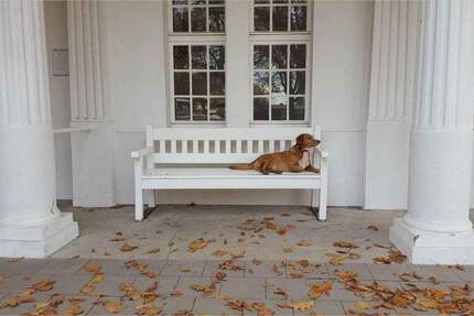 Gewerbeobjekt Bergkamen Rünthe - 220.000&euro; | Angebot:25741065