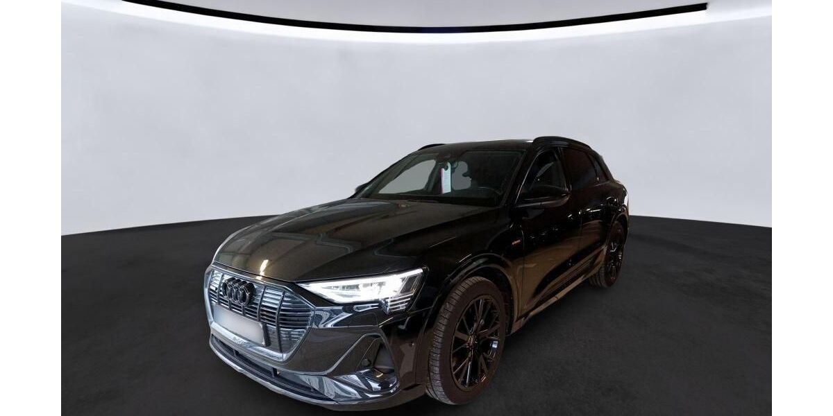 Audi e-tron 29.894 km 32.675 &euro; Hagen 58091