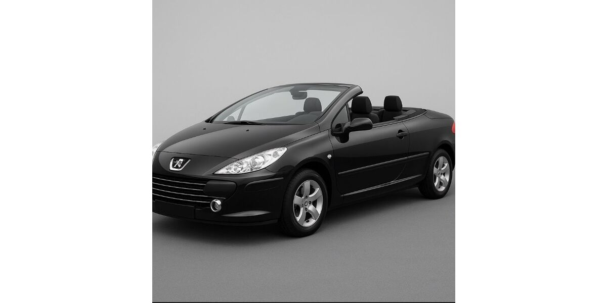 Peugeot 307 133.000 km 6.450 &euro; Werl 59457