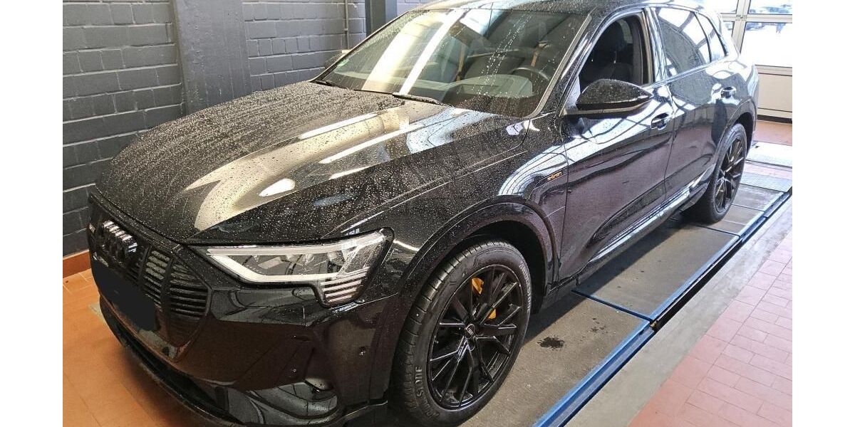 Audi e-tron 51.561 km 33.485 &euro; Hagen 58091