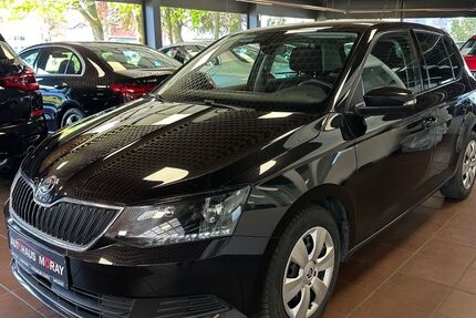Skoda Fabia 116.000 km 10.900 &euro; Werne 59368