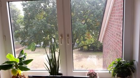 Dachgeschoßwohnung Bergkamen - 2.5 Zimmer, 61 m&sup2;, 459&euro; | Angebot:25834912