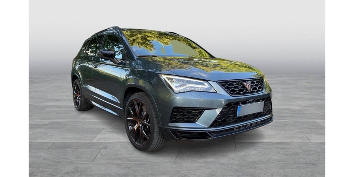 Cupra Ateca 91.600 km 21.999 &euro; Holzwickede 59439