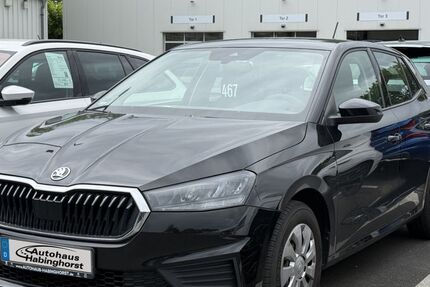 Skoda Fabia 38.325 km 13.990 &euro; Castrop-Rauxel 44579