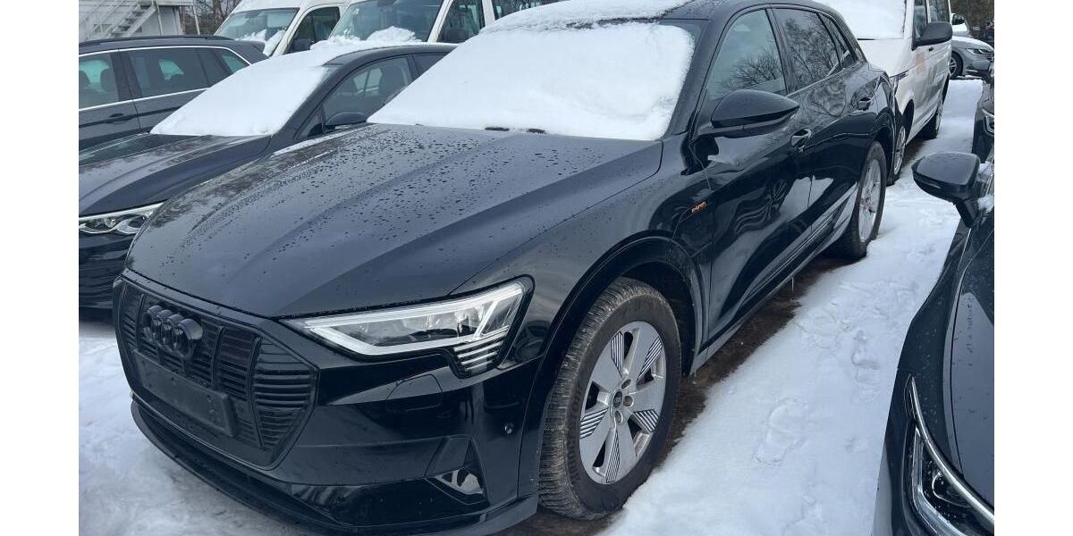 Audi e-tron 61.926 km 35.910 &euro; Hagen 58091