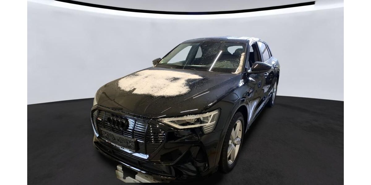 Audi e-tron 47.861 km 33.875 &euro; Hagen 58091
