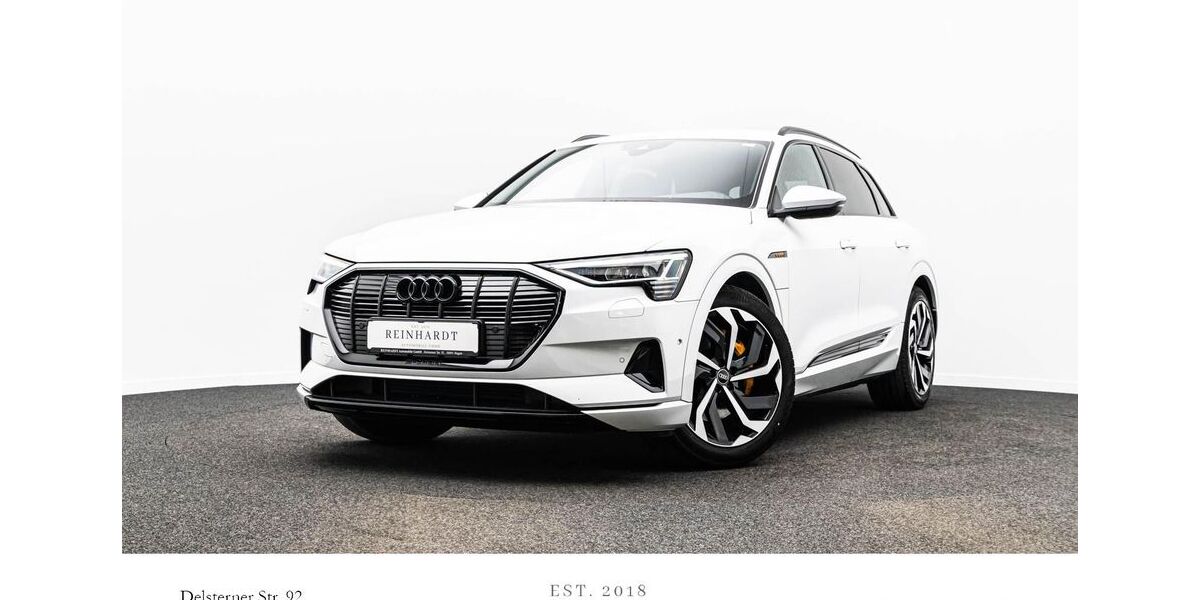 Audi e-tron 54.055 km 34.720 &euro; Hagen 58091