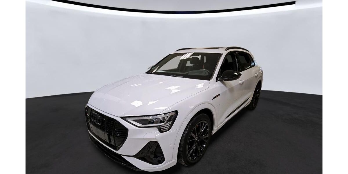 Audi e-tron 41.419 km 40.869 &euro; Hagen 58091