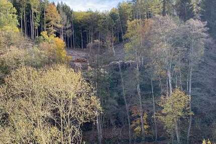 Wohnung Lüdenscheid Augustenthal - 3 Zimmer, 89 m&sup2;, 670&euro; | Angebot:24708498