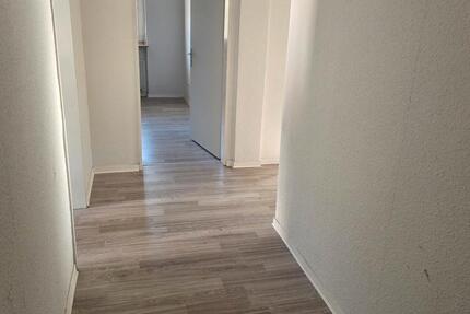Wohnung Werdohl - 3 Zimmer, 71 m&sup2;, 426&euro; | Angebot:25305582