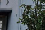 Mehrfamilienhaus, Wohnhaus Dortmund Grevel - 12 Zimmer, 235 m&sup2;, 619.000&euro; | Angebot:27618609