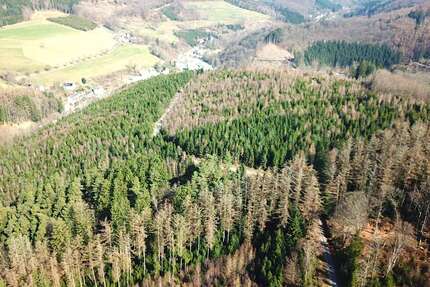 Grundstück Lüdenscheid Augustenthal - 414.000&euro; | Angebot:25986619