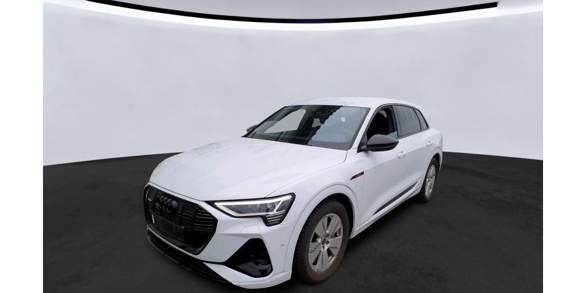 Audi e-tron 61.900 km 34.829 &euro; Hagen 58091