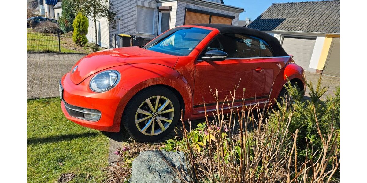 VW Beetle 53.260 km 16.800 &euro; Dortmund 44319